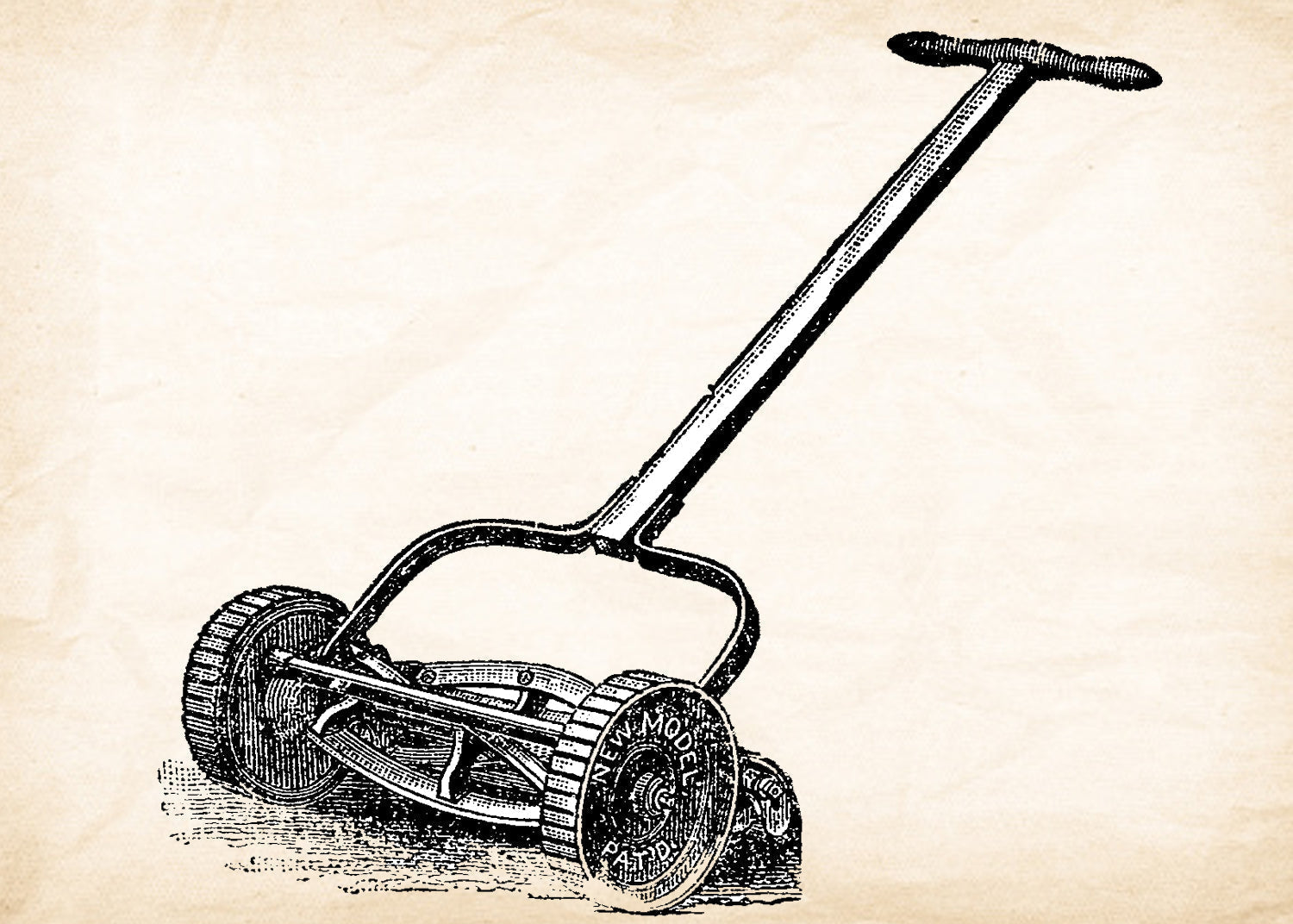 The mowdown on grass cutting