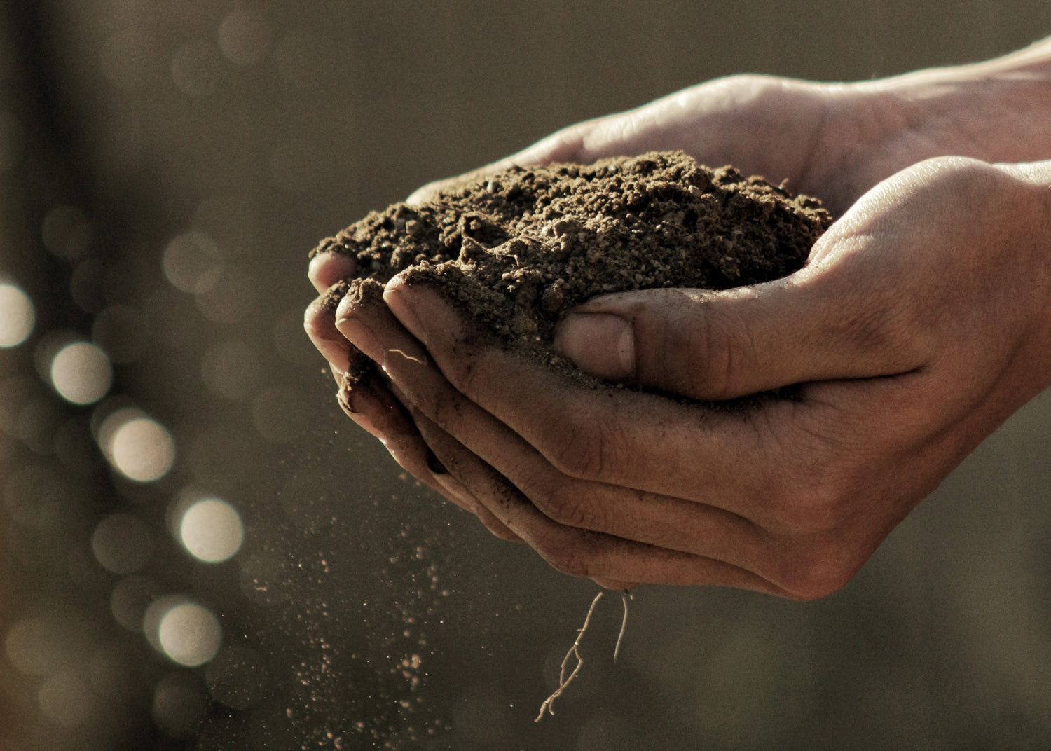 Are you getting the natural high?