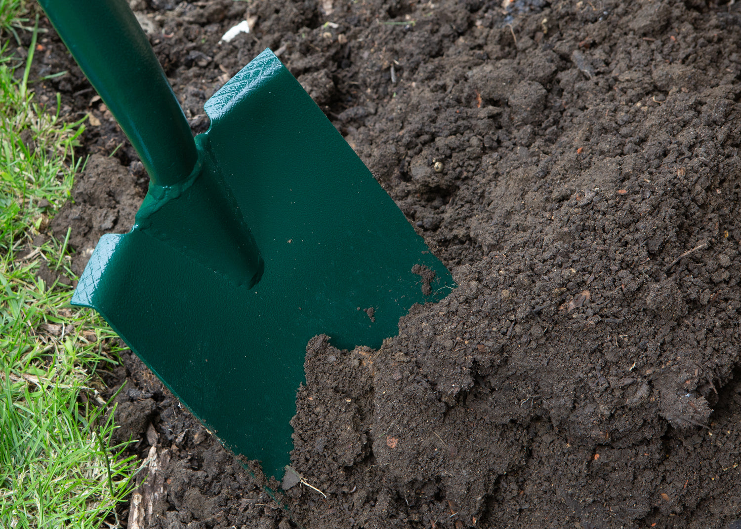 What on earth are you growing?