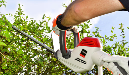 Cobra Hedge Trimmers