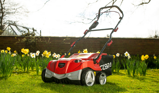 Cordless Lawn Scarifiers