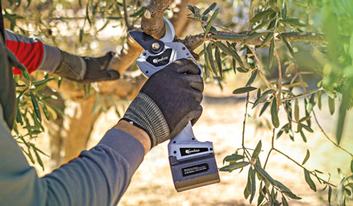 Kamikaze KV Cordless | Battery-Powered Garden Tools