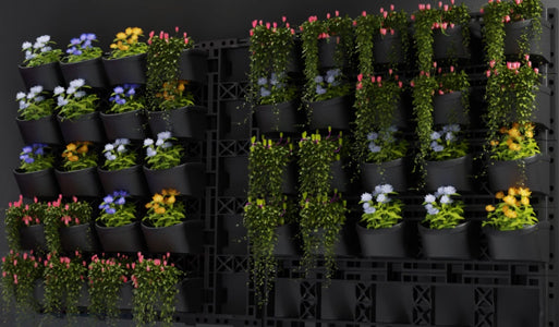 Poliext Living Green Walls