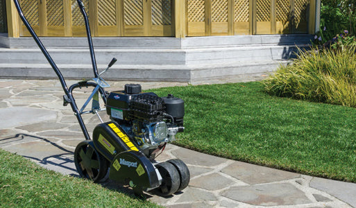Masport Lawn Edgers
