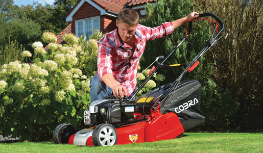 Petrol Rear Roller Rotary Lawn Mowers