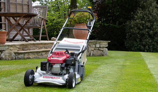Petrol Rear Roller Rotary Lawn Mowers