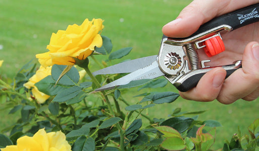 Wilkinson Sword Cutting Tools