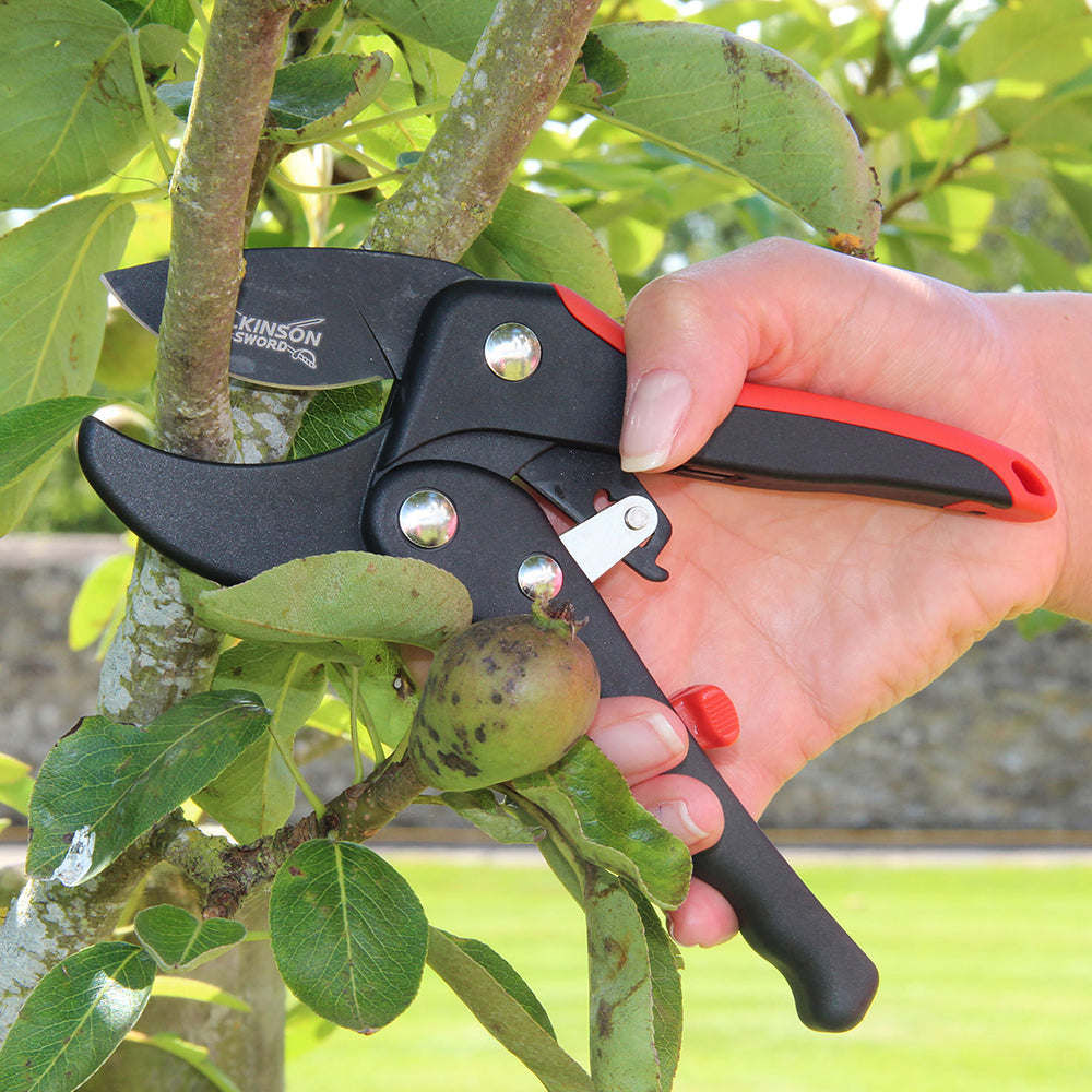 Wilkinson Sword Razorcut Pro Ratchet Anvil Pruner 1111168W