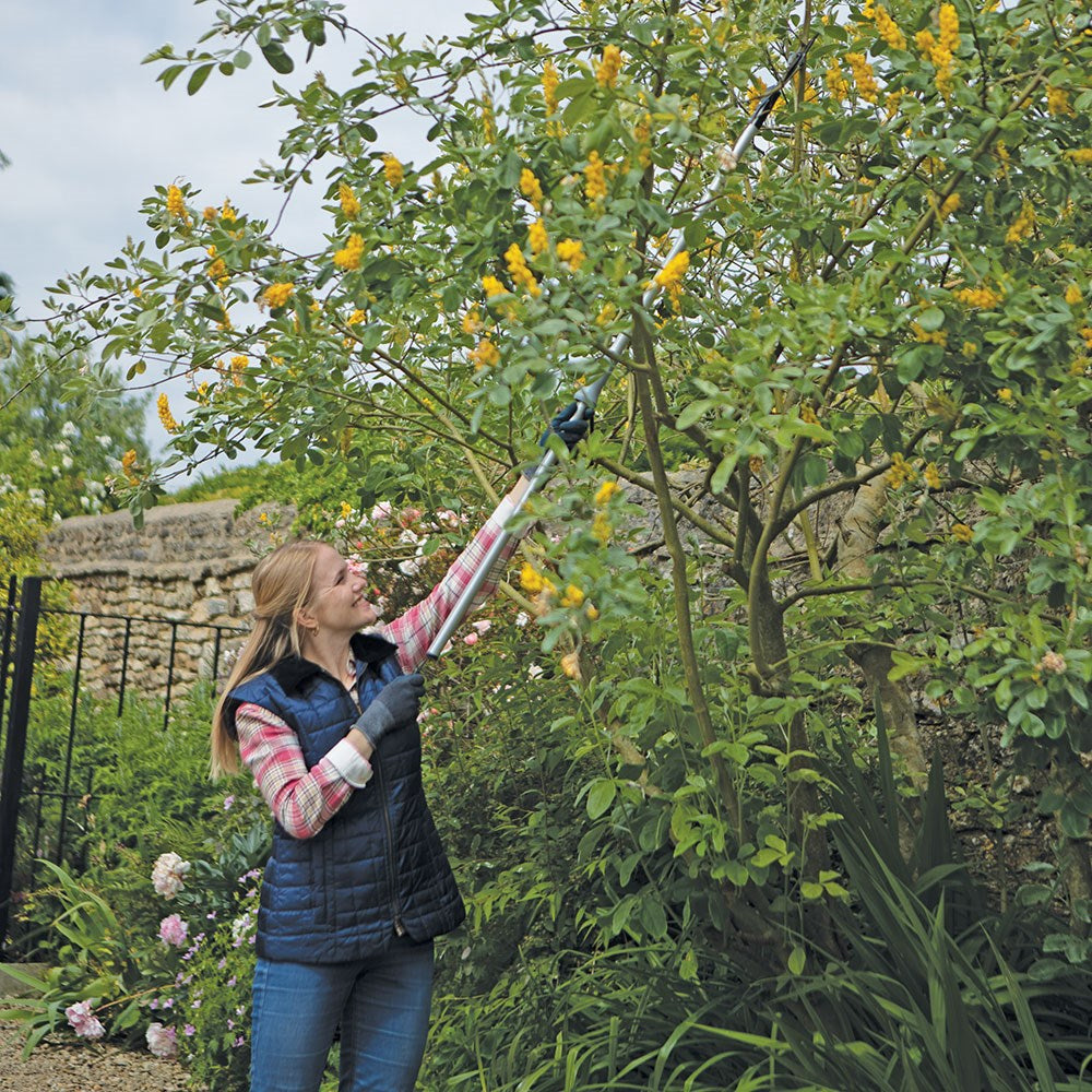 Wilkinson Sword Ultralight 2 Metre Branch and Shrub Cutter 1111394W