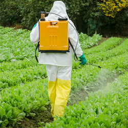 Backpack Sprayers