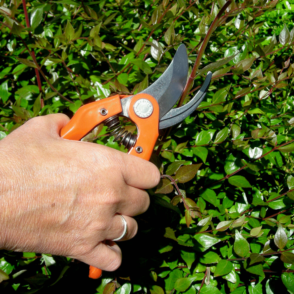 Bahco P121-23-F Professional 23cm Bypass Secateur