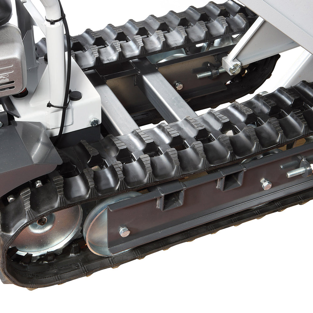 Bertolini BTR 1750 D Professional Transporter