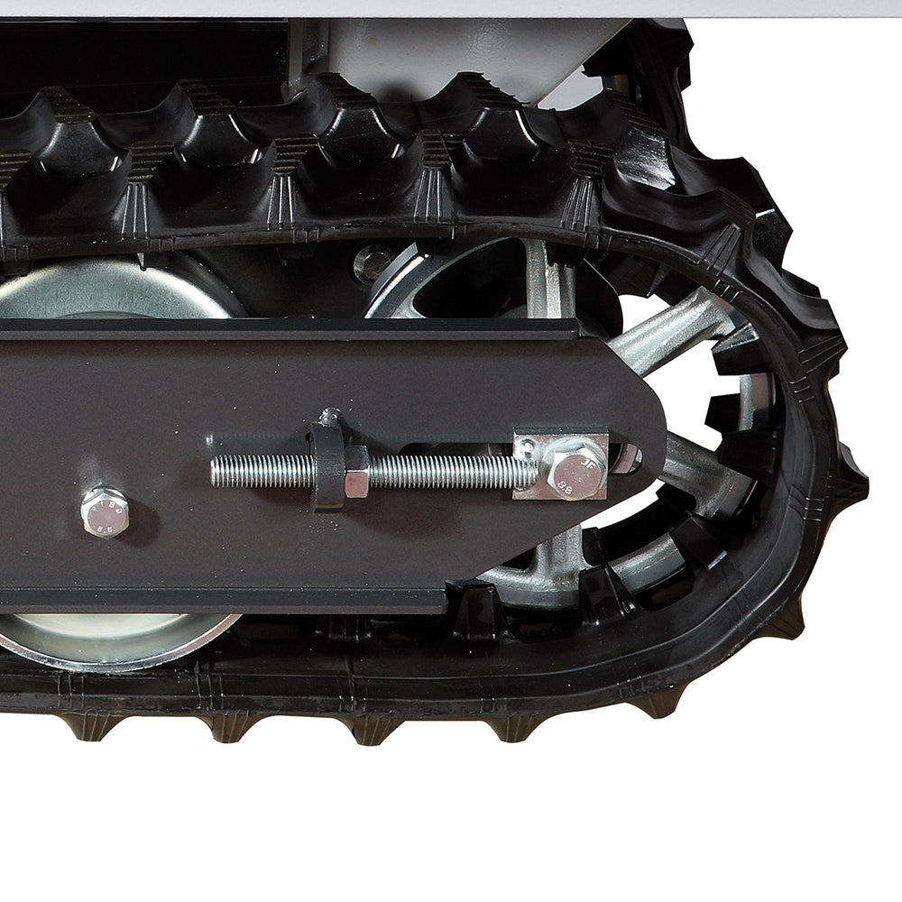 Bertolini BTR 1750 D Professional Transporter