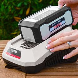 Cobra Li-Ion Cordless Range