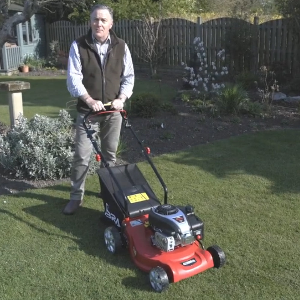 Cobra M41C Push Petrol Lawn Mower