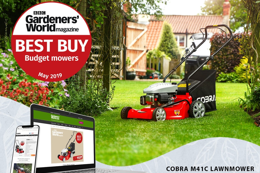 Cobra M41C Push Petrol Lawn Mower