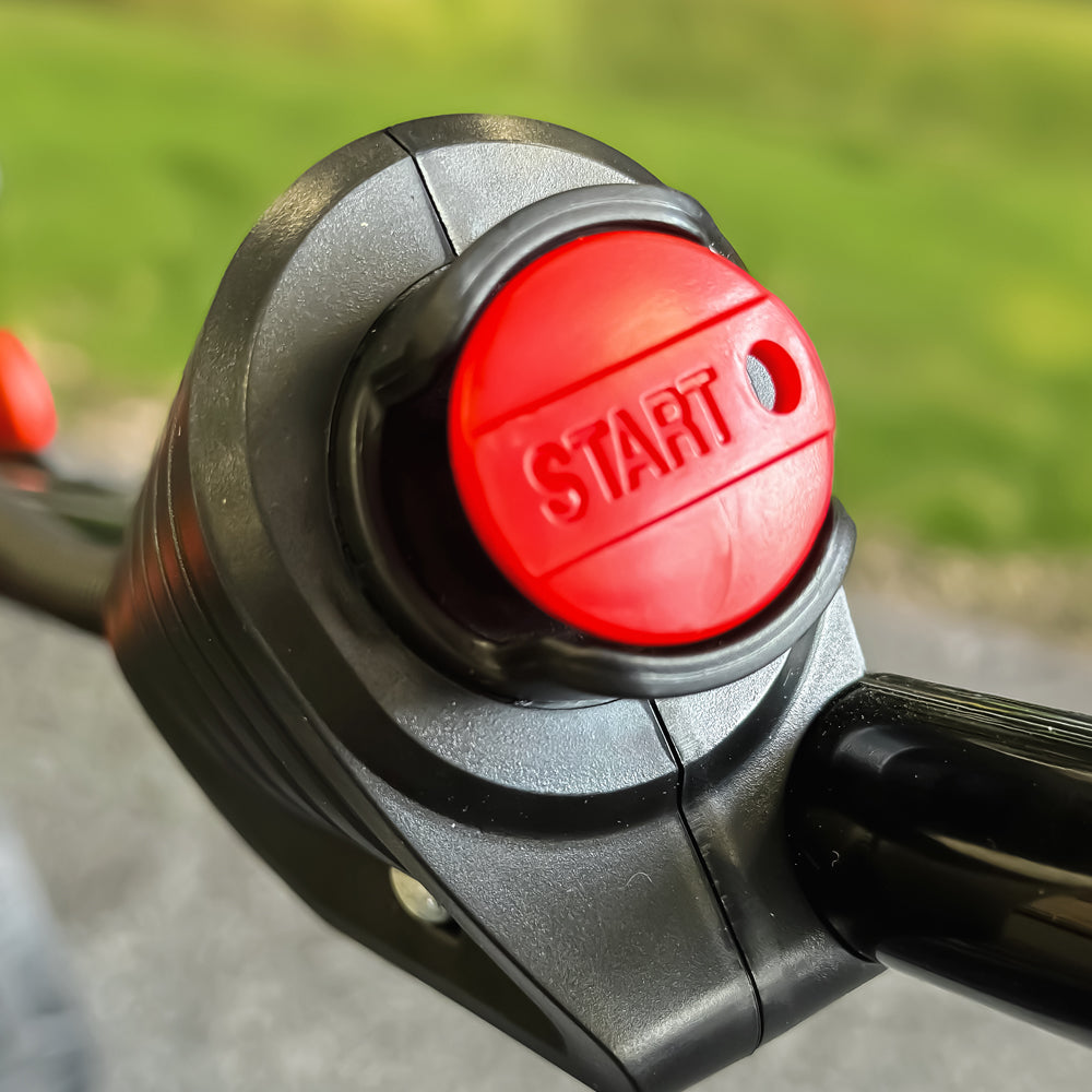 Cobra RM433SPBI 3-Speed Self-Propelled Rear Roller Petrol Lawn Mower