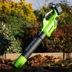 Hand-Held Cordless Leaf Blowers