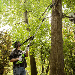 Cordless Pole Saws