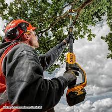 DeWalt DCMPS567P1-GB 18V XR Cordless Pole Saw (with 5Ah Battery & Charger)