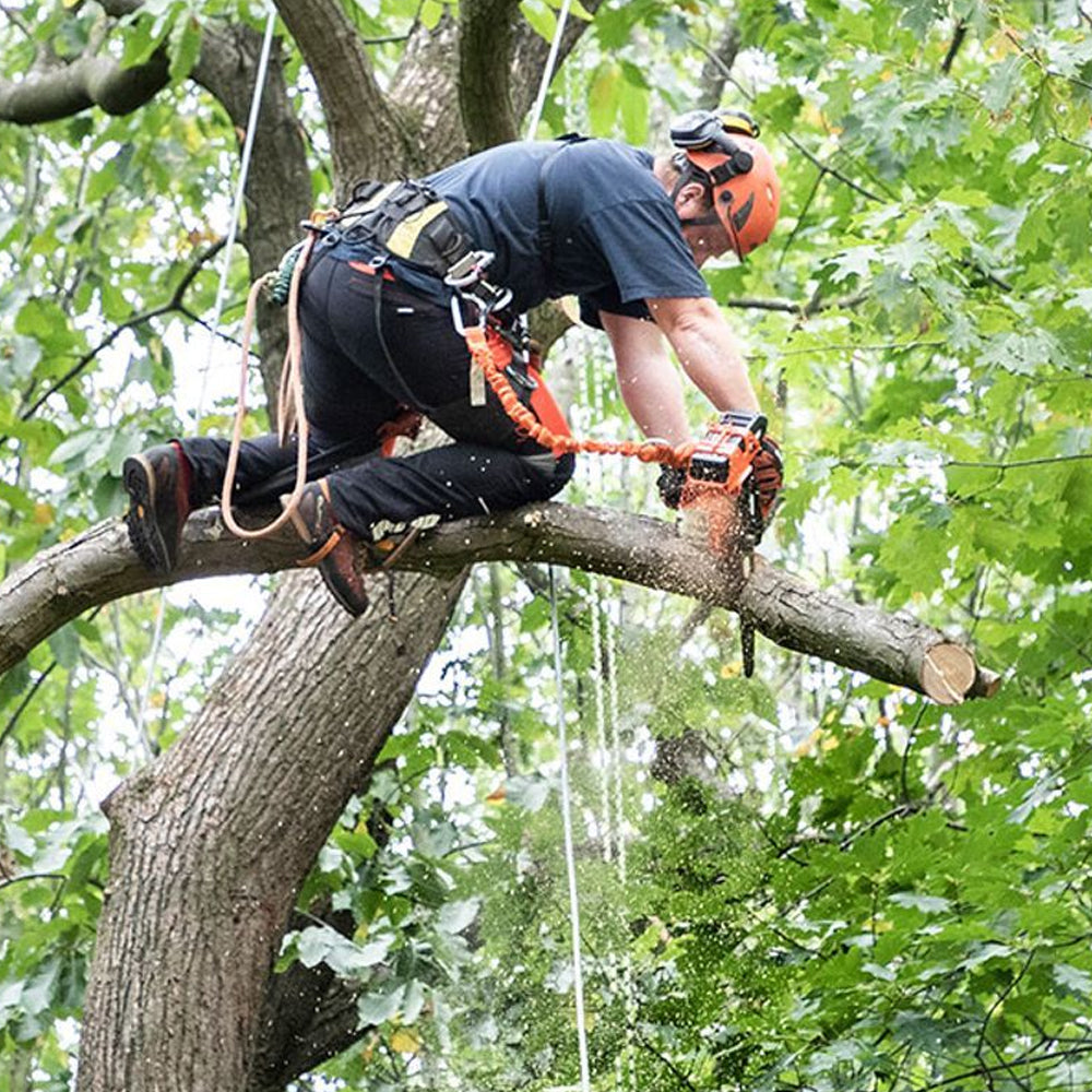 Echo DCS-2500TC 56 eFORCE Cordless Top Handle Chainsaw with Carving Bar (Bare Tool)