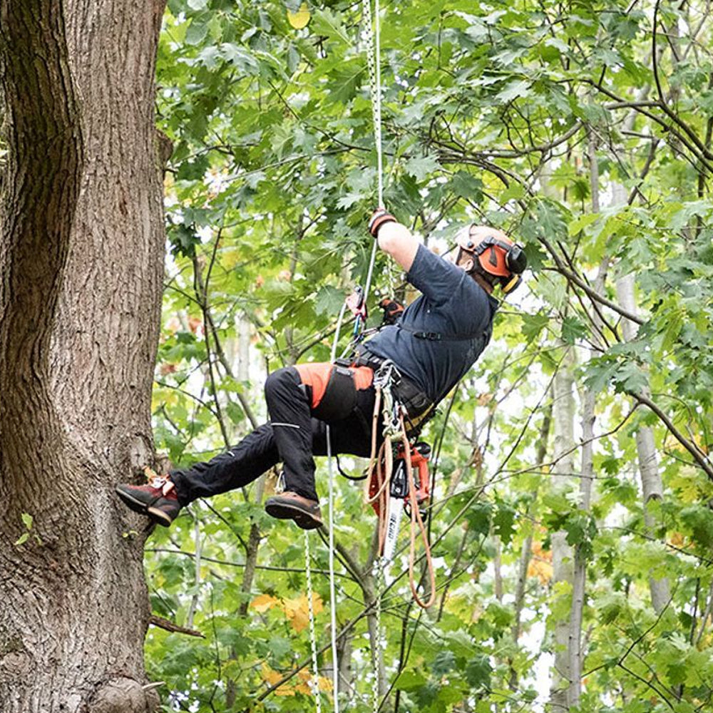 Echo DCS-2500T 56 eFORCE Cordless Top Handle Chainsaw (Bare Tool)