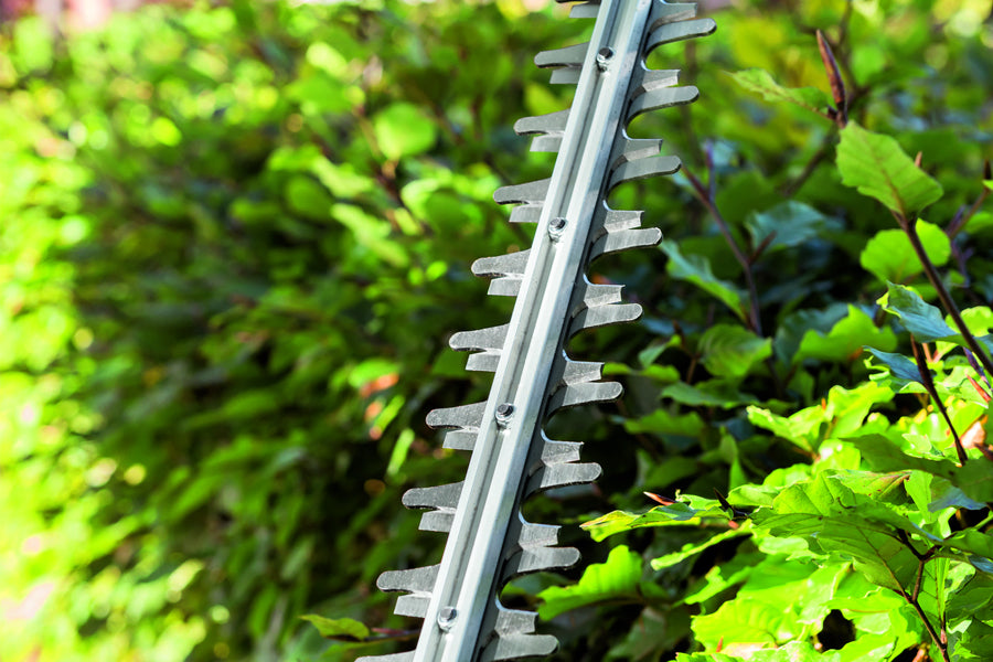 EGO Power+ HT2411E 60cm 56V Cordless Hedge Trimmer (with 2.5Ah Battery & Charger)