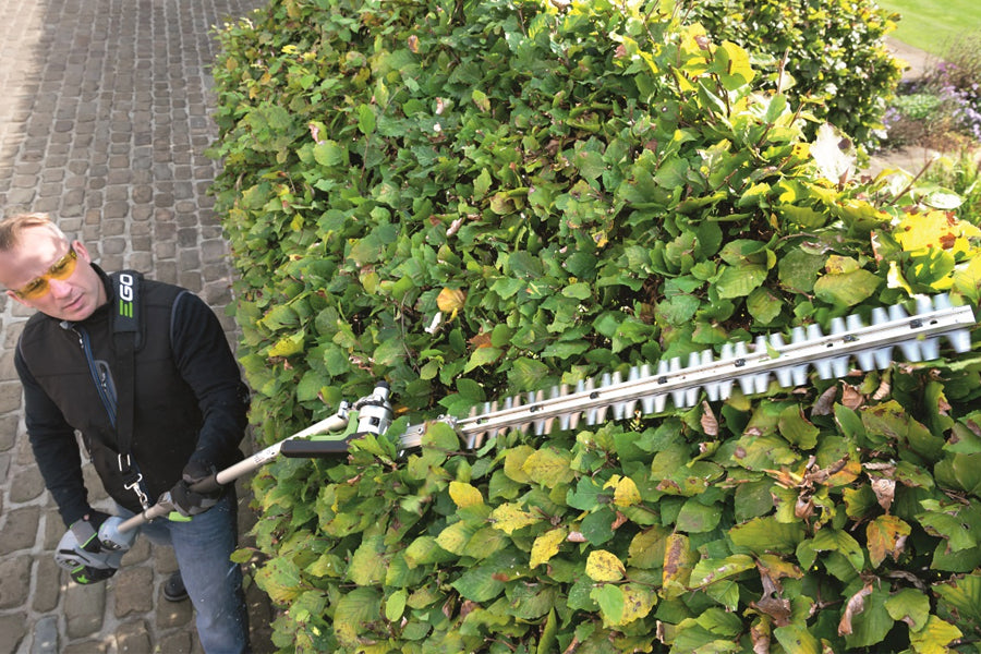 EGO Power+ HTA2000 Multi Tool Long Hedge Trimmer Attachment
