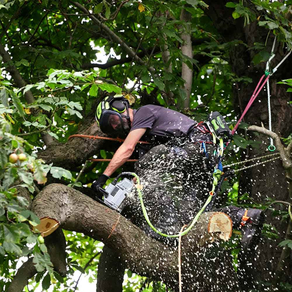 EGO Power+ CSX3000 Pro X 56V Cordless Top Handle Chainsaw (Bare Tool)