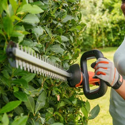 Flymo Hedge Trimmers