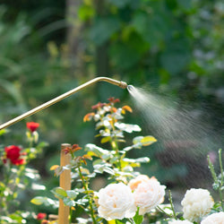 Garden | Professional Sprayers