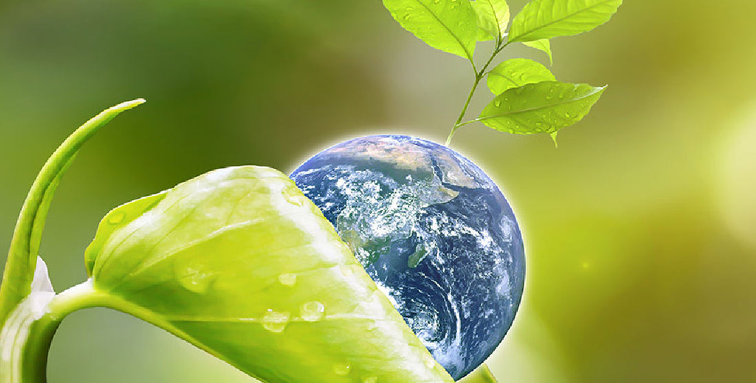 GREEN BY NAME, GREEN BY NATURE