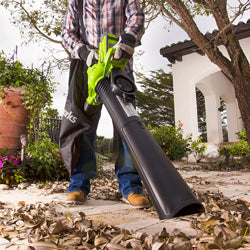 GreenWorks Leaf Blowers & Vacuums