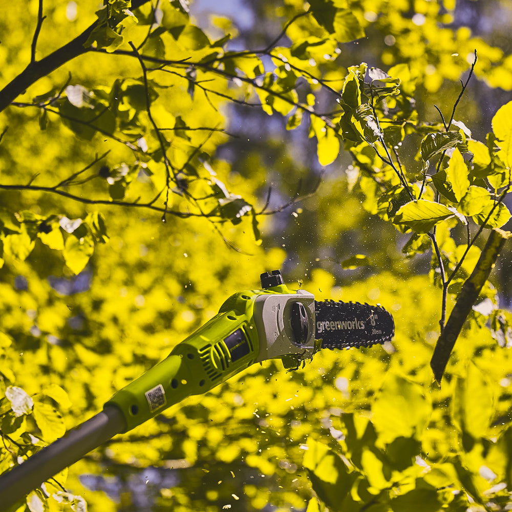 GreenWorks G24PS20K2 24V Cordless Pole Saw (with 2Ah Battery and Charger)