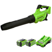 GreenWorks GD40ABIIK2X G-MAX 40V Cordless Axial Blower (with 2 x 2Ah Battery and 2A Standard Charger)