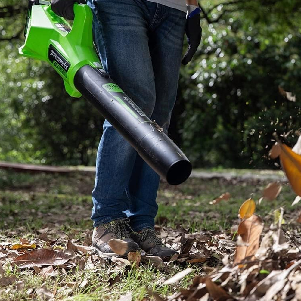 GreenWorks G24ABIIK2 24V Cordless Axial Blower (with 2Ah Battery & 2A Charger)