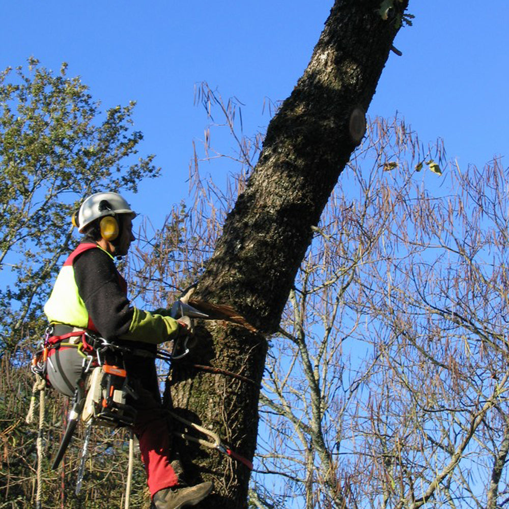 GTM Professional Conyfair Rattlewedge Splitter