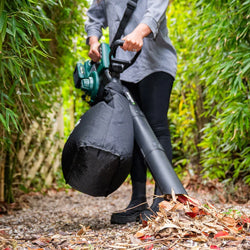 Hand-Held Blower Vaccums