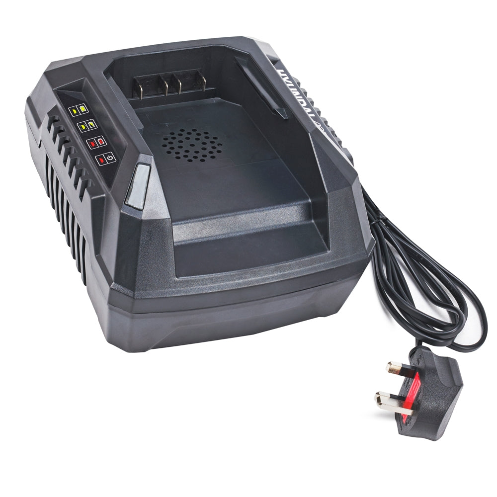 Hyundai HYCH402 40V Standard Battery Charger