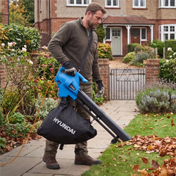 Hyundai Leaf Blowers, Vacuums & Sweepers