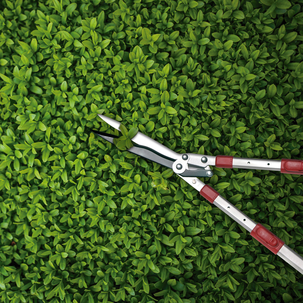 Kamikaze Garden KM-40 Telescopic Wavy Blade Hedge Shears