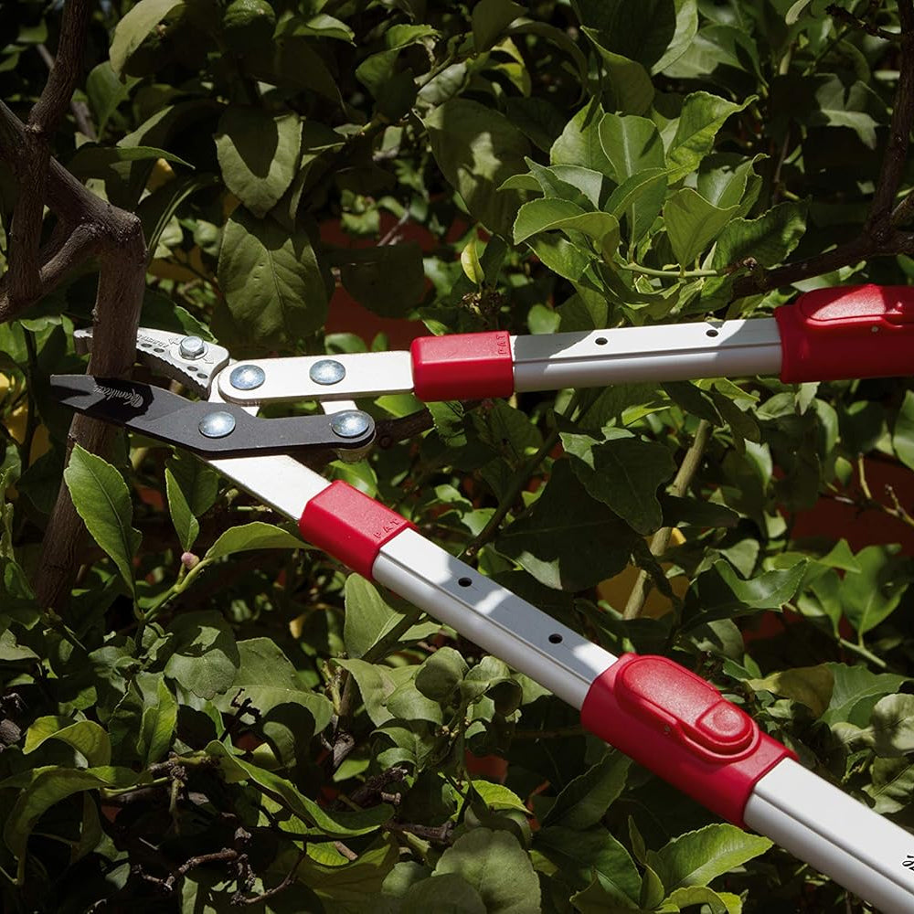 Kamikaze Garden CH-83 Telescopic Anvil Lopper