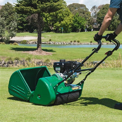 Masport Cylinder Mowers