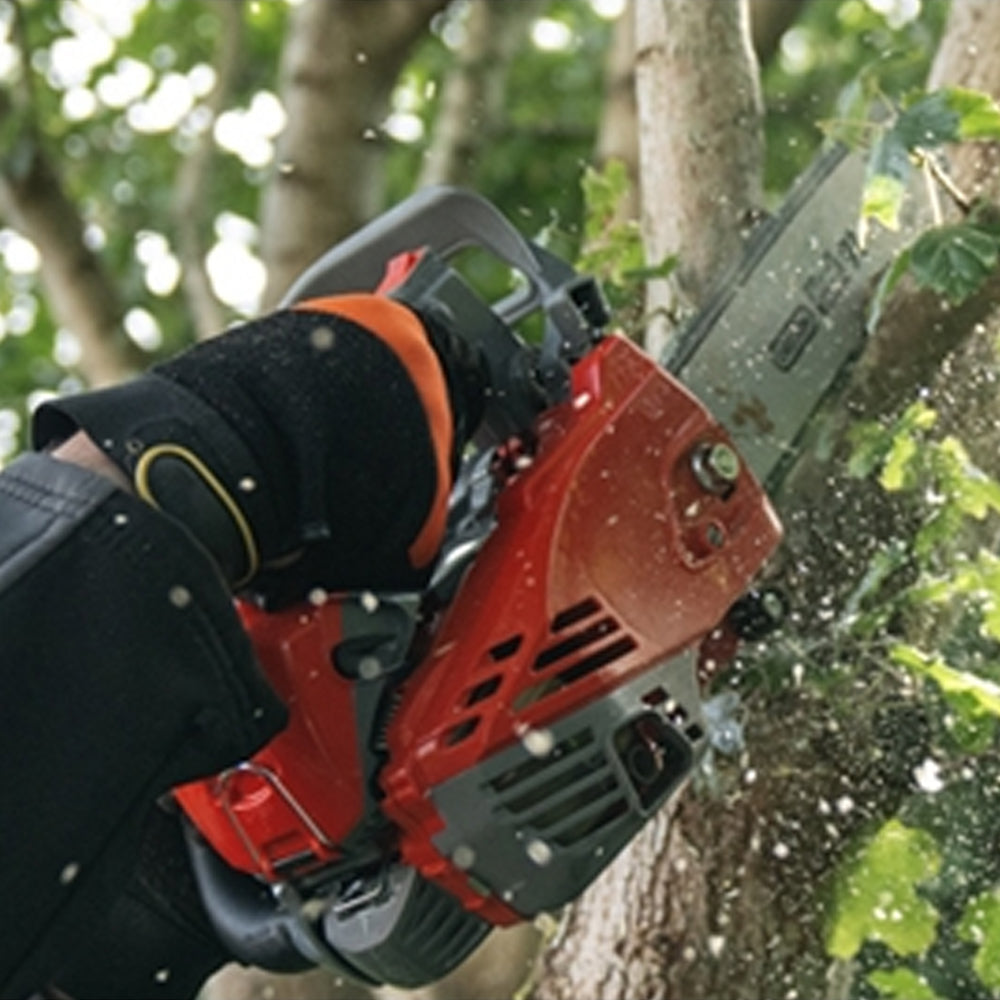Mitox CS265TX Premium Top Handle Chainsaw