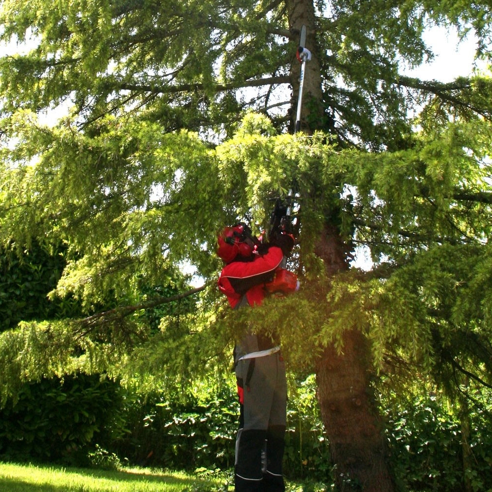 Mitox 28PP Select Pole Pruner