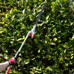 Mitox Hedge Trimmers