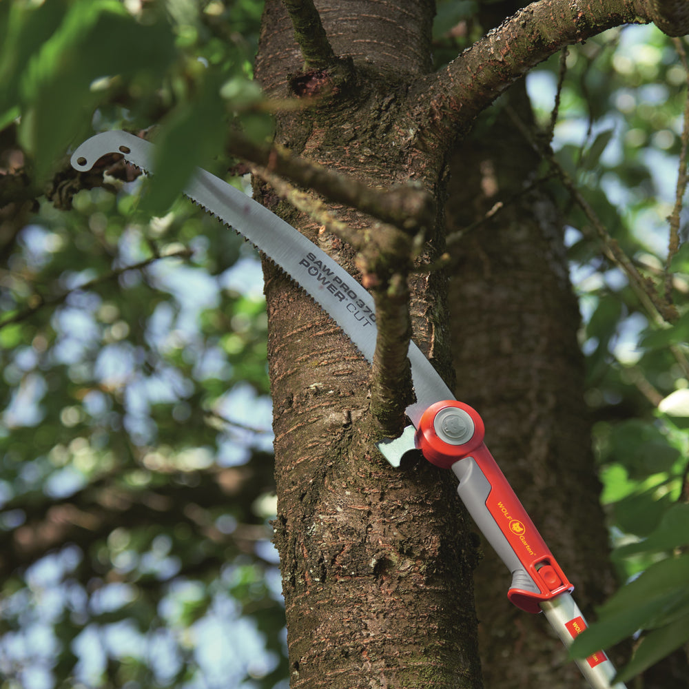 WOLF-Garten Multi-Change Power Cut Professional Pruning Saw PC370MSPRO