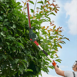 Long Reach / Pole Hedge Trimmers