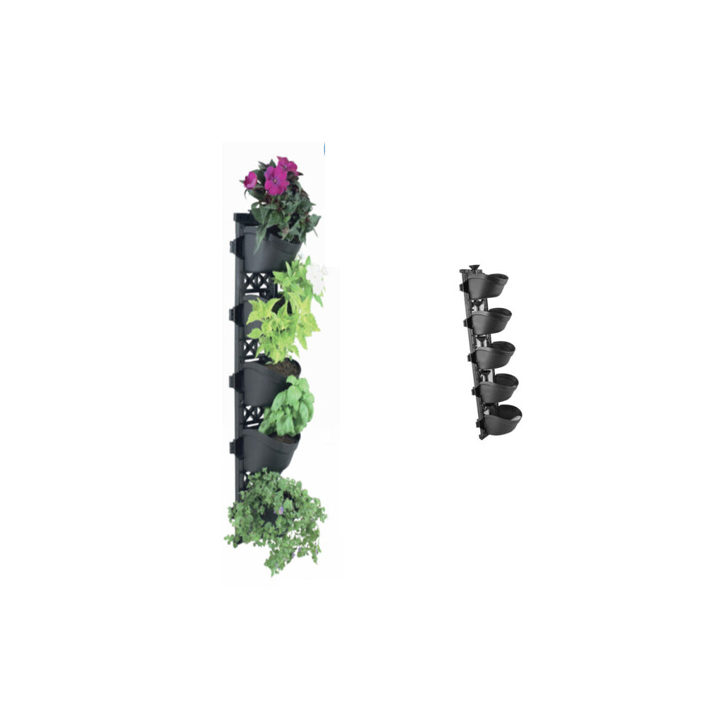 Poliext DIY Living Green Wall Set