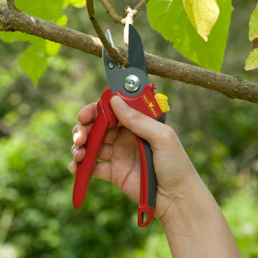 WOLF-Garten 'Comfort Plus' Anvil Secateurs